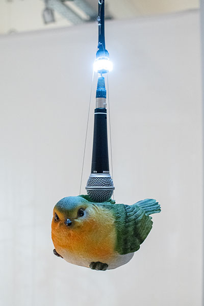 Photo/Llun: Adam Chard